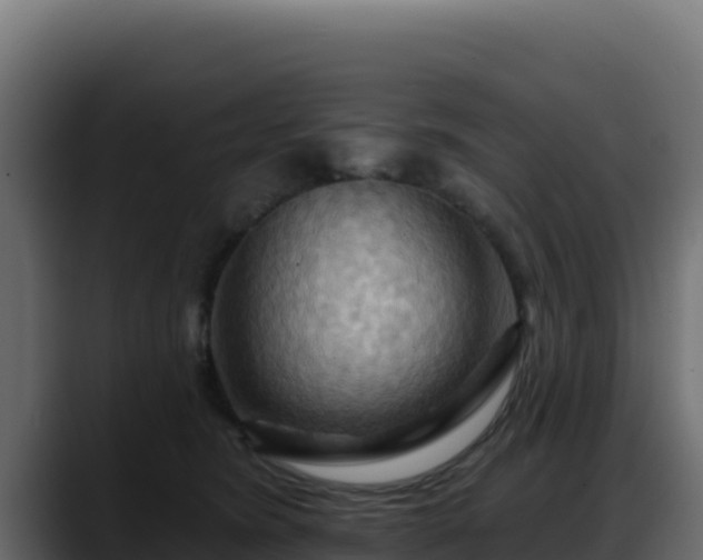 X0000088380420200705291351