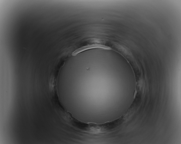 X0000088380423200705291351
