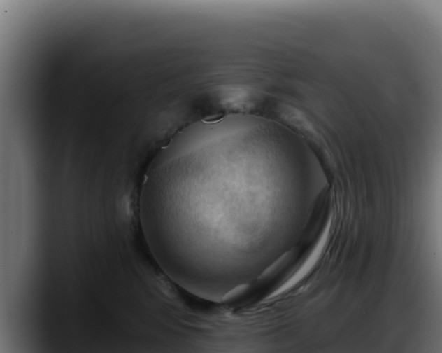X0000088380424200705291351