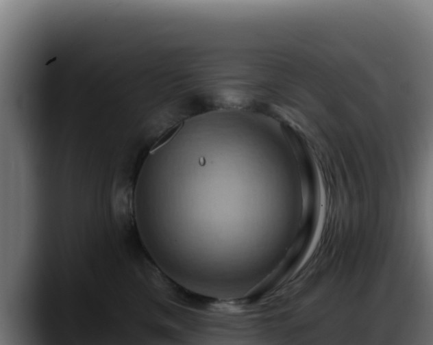 X0000088380425200705291351
