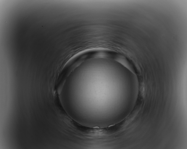 X0000088380428200705291351