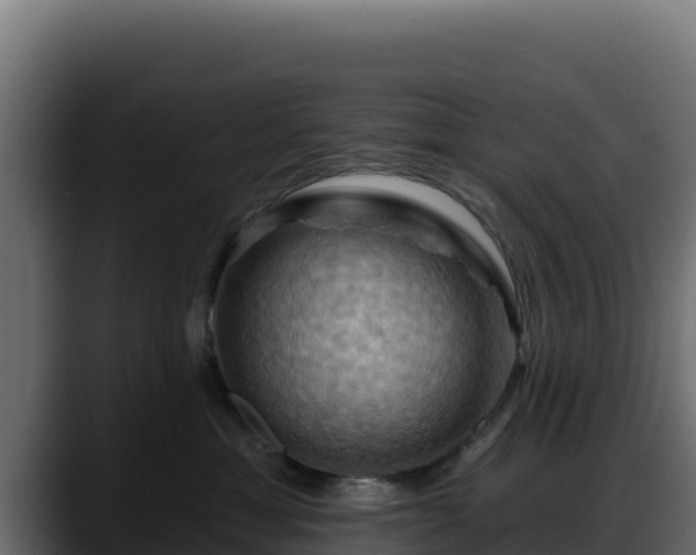 X0000088380429200705291351