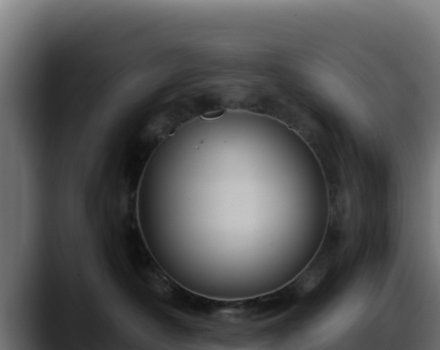 X0000088380430200705291351