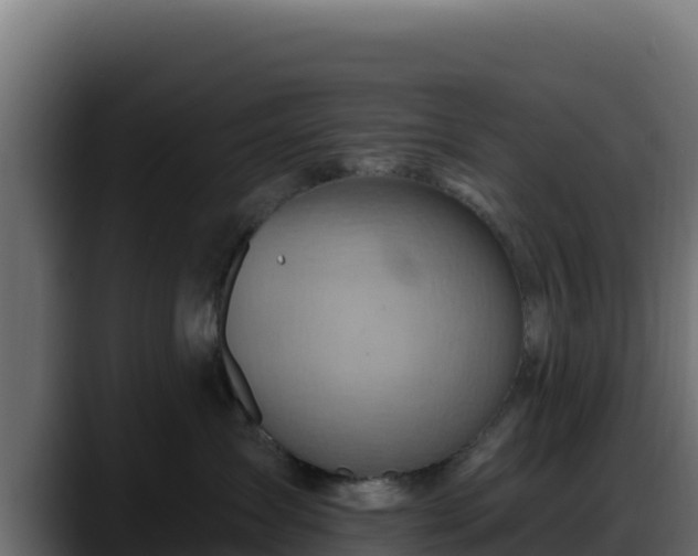 X0000088380431200705291351