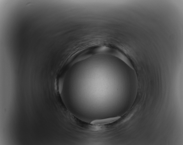 X0000088380432200705291351