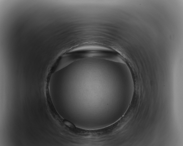 X0000088380434200705291351
