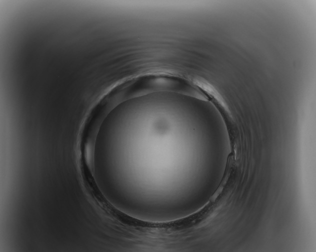 X0000088380436200705291351