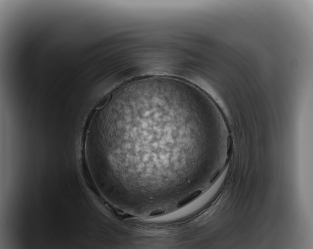 X0000088380437200705291351