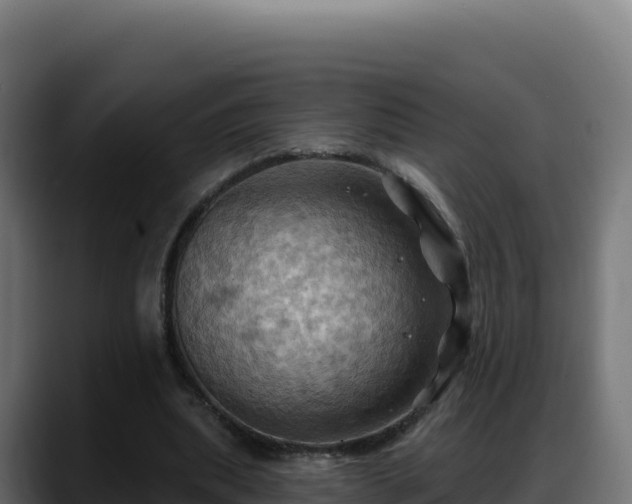 X0000088380439200705291351