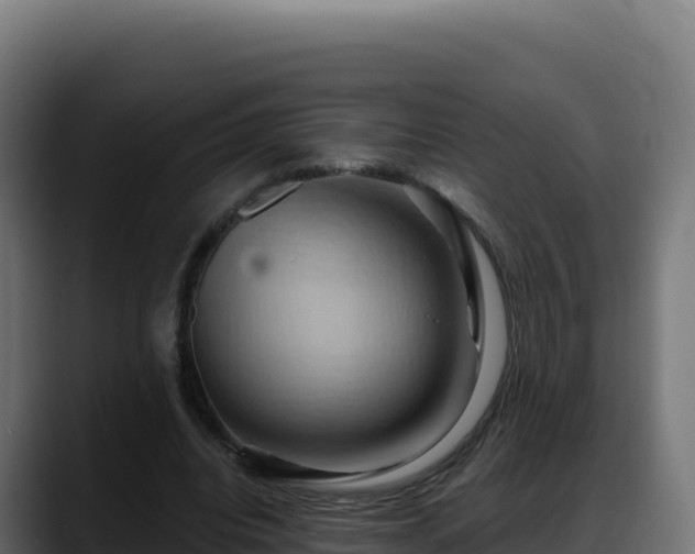 X0000088380440200705291351