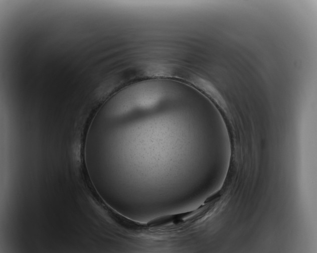 X0000088380441200705291351