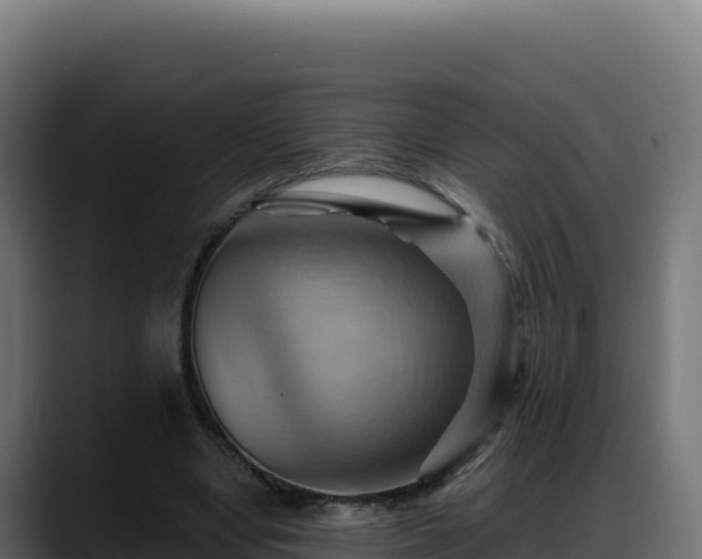 X0000088380442200705291351
