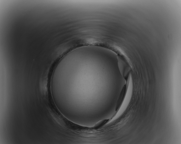 X0000088380443200705291351