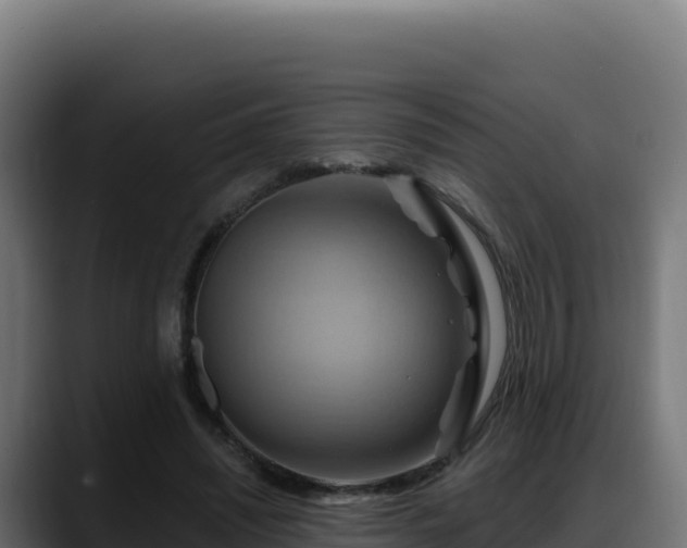 X0000088380444200705291351