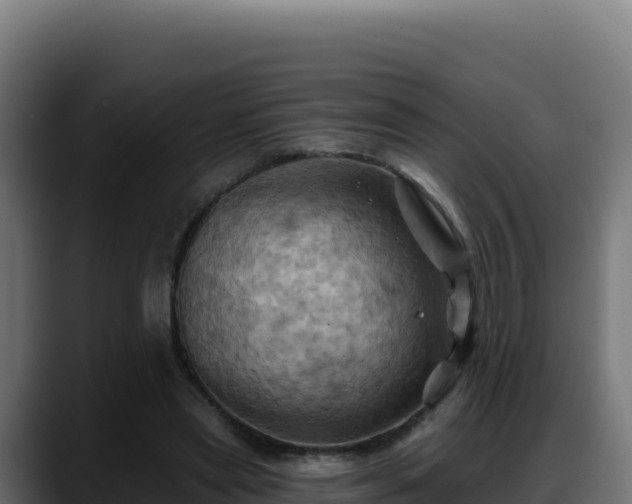 X0000088380445200705291351