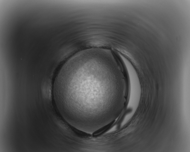 X0000088380446200705291351