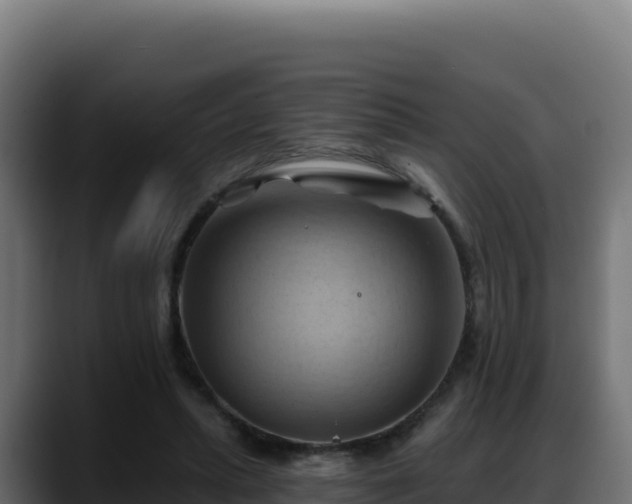 X0000088380447200705291351