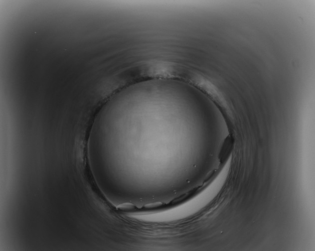 X0000088380449200705291351