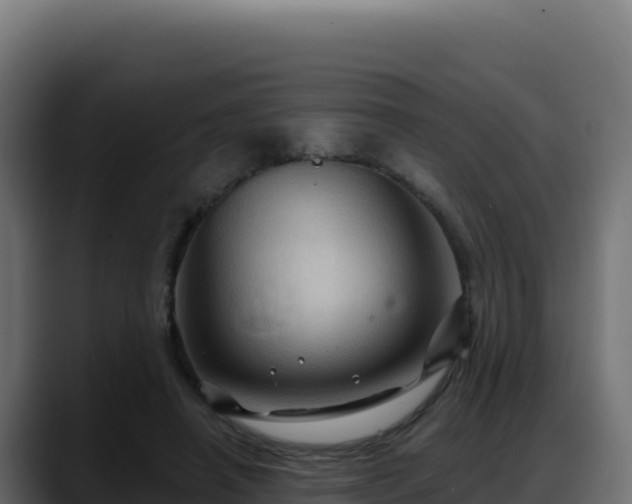 X0000088380450200705291351