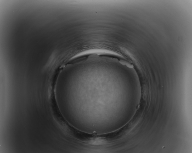 X0000088380451200705291351