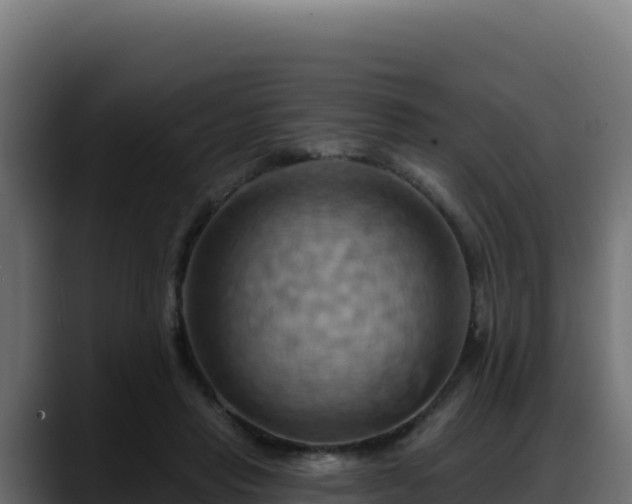 X0000088380453200705291351