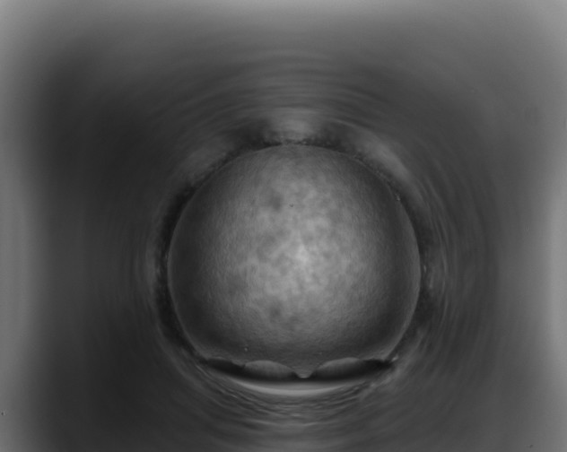 X0000088380455200705291351