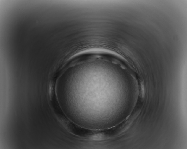 X0000088380456200705291351