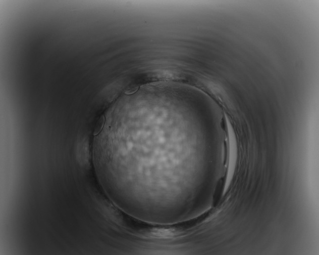 X0000088380457200705291351