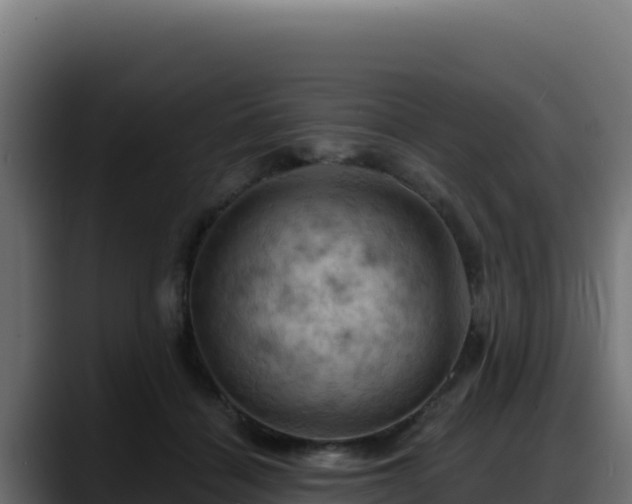 X0000088380460200705291351