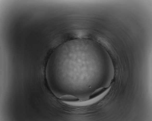 X0000088380461200705291351