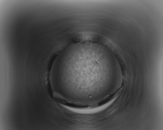 X0000088380462200705291351