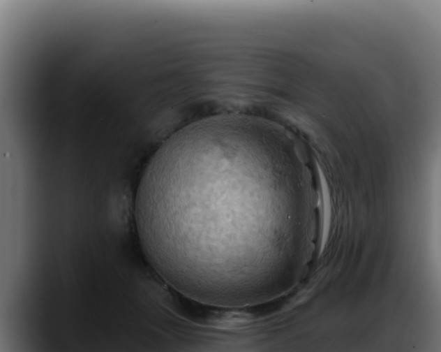 X0000088380463200705291351