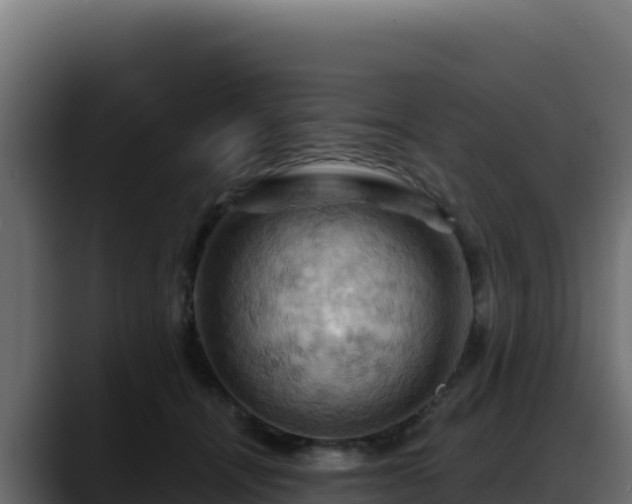 X0000088380464200705291351