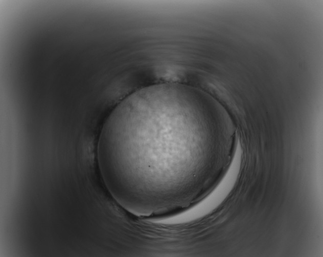 X0000088380466200705291351