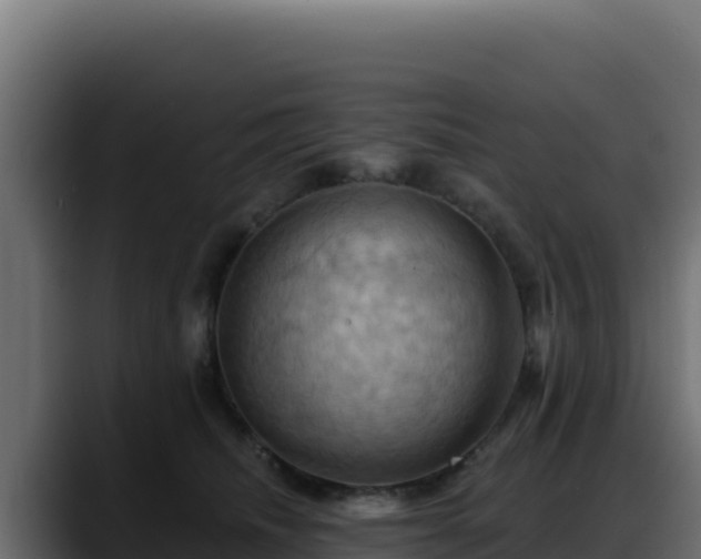 X0000088380468200705291351