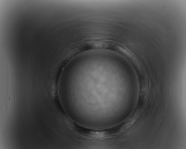 X0000088380469200705291351
