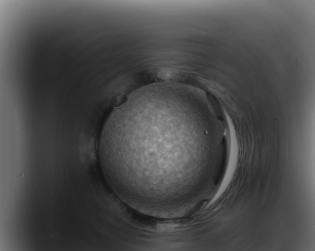X0000088380470200705291351