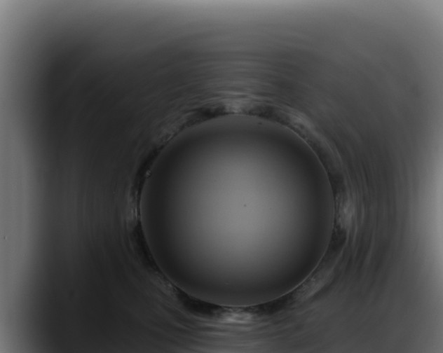X0000088380471200705291351