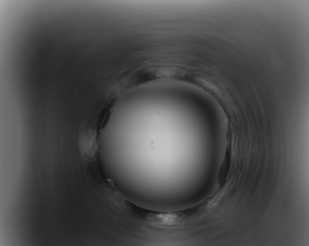 X0000088380478200705291351