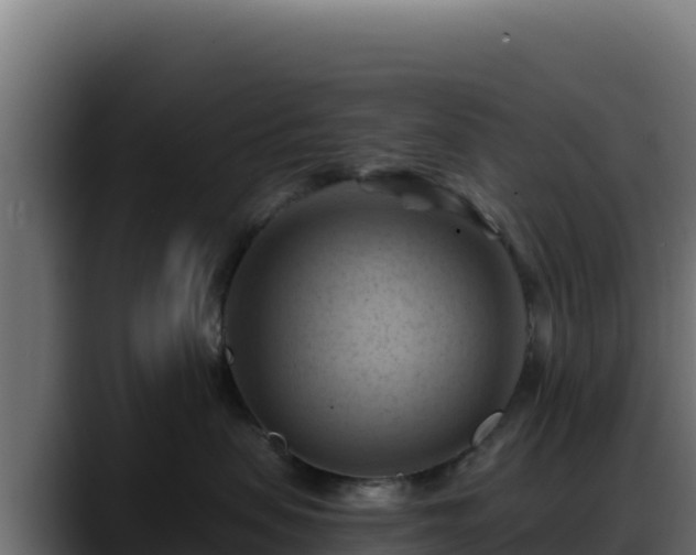 X0000088380479200705291351
