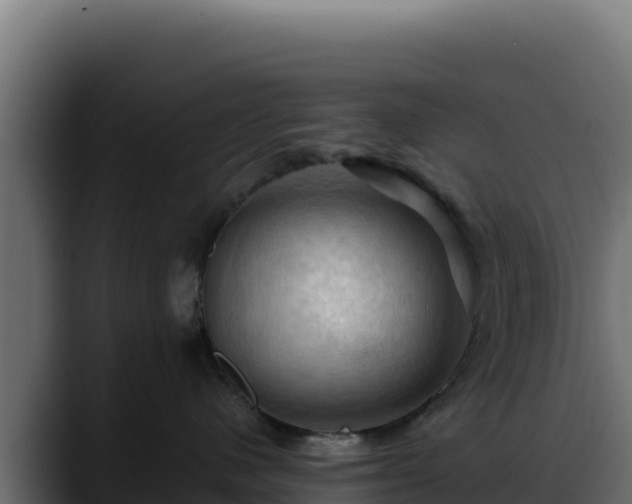 X0000088380480200705291351
