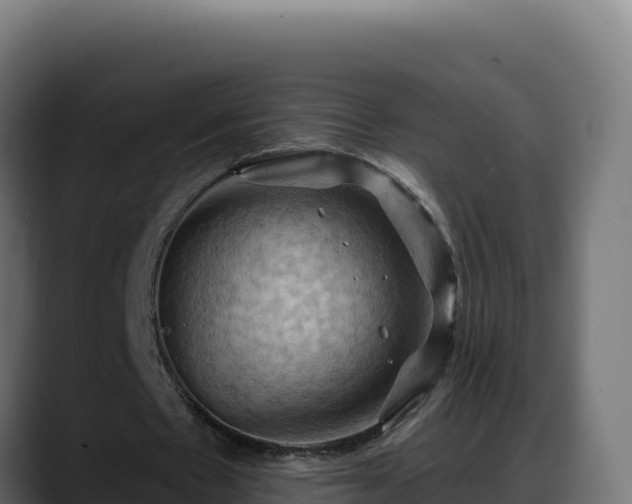 X0000088380481200705291351