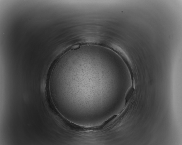 X0000088380483200705291351