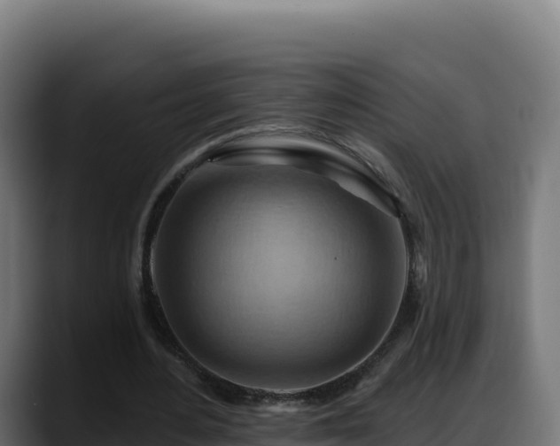 X0000088380484200705291351