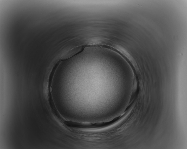 X0000088380485200705291351