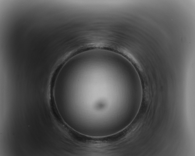 X0000088380486200705291351