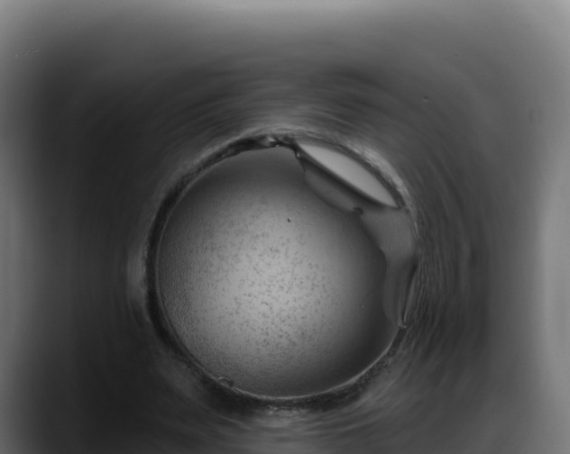 X0000088380487200705291351