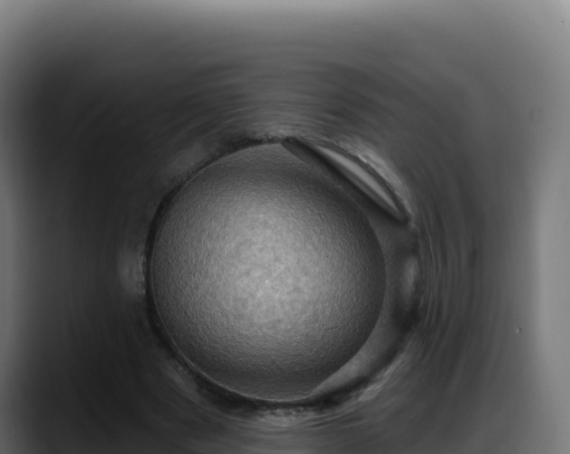 X0000088380489200705291351