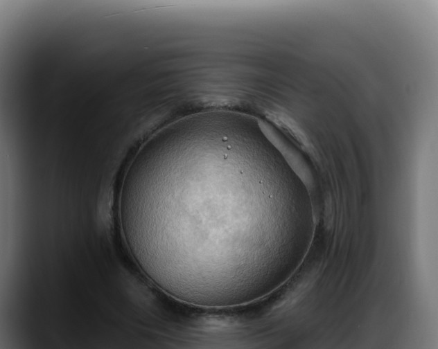 X0000088380490200705291351