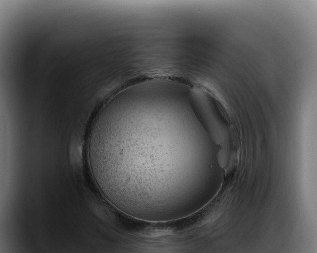X0000088380491200705291351